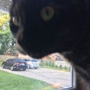 Meet your Posher, Neleh